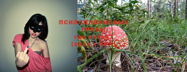 стафф Абаза