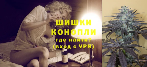 индика Сафоново