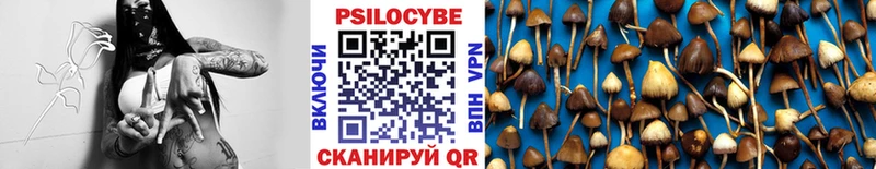 Галлюциногенные грибы прущие грибы  сколько стоит  Козловка 